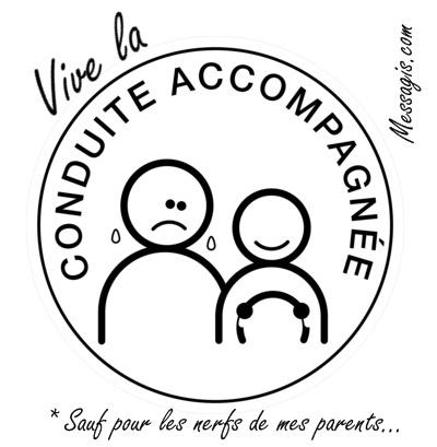 Conduite accompagn�e d�s 15 ans !